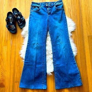 Anthropologie Pilcro wide leg jeans 27